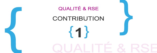 bandeau-rse-contrib1.jpg bandeau-rse-contrib1.jpg