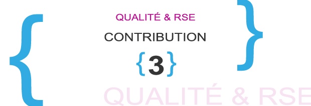 bandeau-rse-contrib3.jpg bandeau-rse-contrib3.jpg