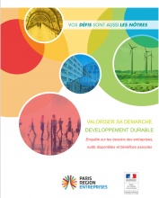 actu-etude-entreprises-developpement-durable.jpg