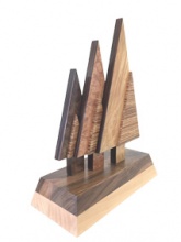 trophee2016-cimes2.jpg trophee2016-cimes2.jpg