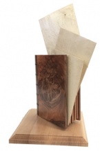 trophee2016-paginnovation2.jpg trophee2016-paginnovation2.jpg