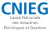 logo-cnieg.jpg