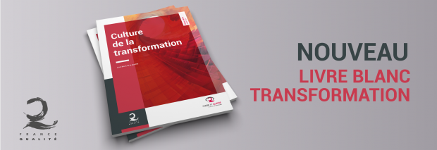 bandeau-livre-blanc-transformation.png bandeau-livre-blanc-transformation.png