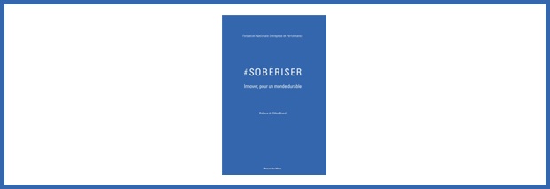 bandeau-livre-soberiser.jpg